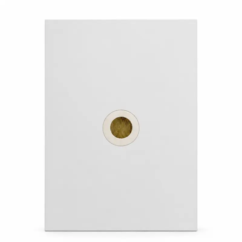 Magnesium Oxide Rock Wool cleanroom panel in semiconductor fab installation